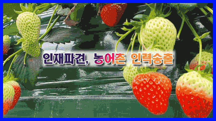 KakaoTalk_20240102_125718323